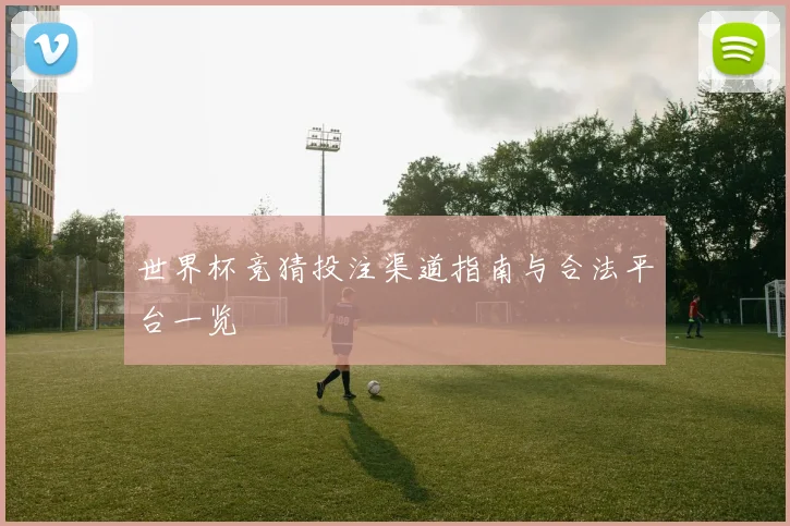 世界杯竞猜投注渠道指南与合法平台一览