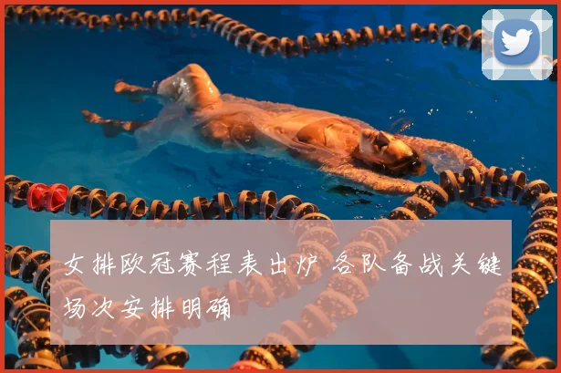 女排欧冠赛程表出炉 各队备战关键场次安排明确