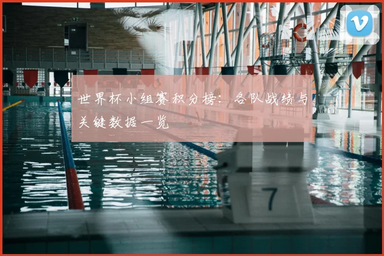世界杯小组赛积分榜：各队战绩与关键数据一览