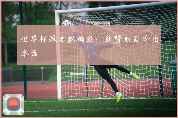 世界杯冠名权确定，新赞助商浮出水面