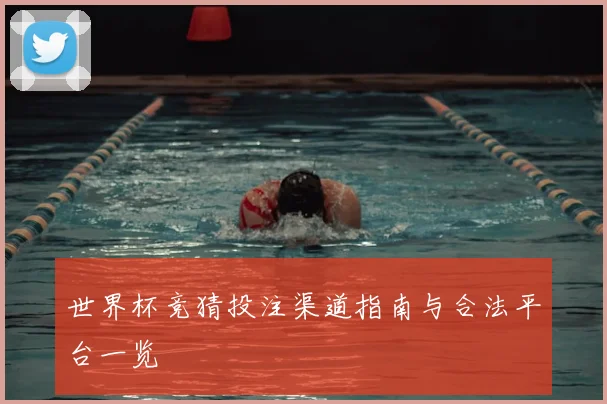 世界杯竞猜投注渠道指南与合法平台一览